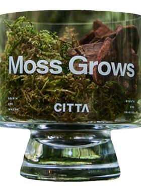 松木青苔植物香薰水晶杯礼盒装