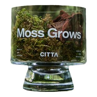 松木青苔放青松水晶杯松柏木质调植物香薰苔藓微景观办公室礼盒装