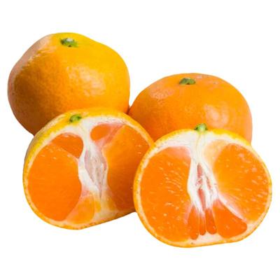 官方推荐正宗涌泉蜜桔高山老树甜