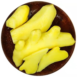 生姜种子姜种带芽山东大姜种籽生姜种植苗老姜子姜芽大肉姜种苗子