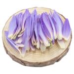 蓝睡莲花瓣 西餐私房菜创意摆盘花草 酒店菜品装饰美观