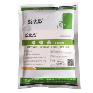 水谷欣绿僵菌球孢白僵菌粉剂微生物虫粉剂高活性孢子绿色环保