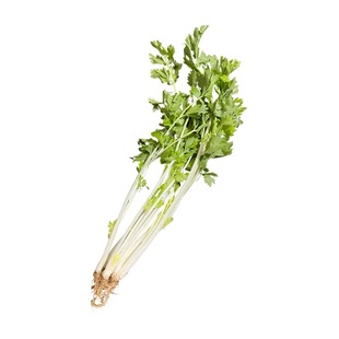 【送货上门】新鲜农家蔬菜新鲜芹菜白芹菜 香芹 新鲜蔬菜 3斤包邮