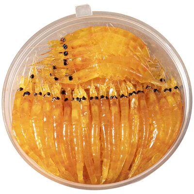 海洋矶钓南极磷虾饵黑鲷