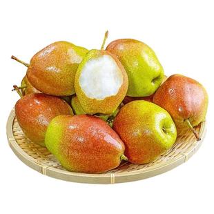 正宗红香酥梨新鲜水果当季新疆香梨现摘皮薄脆甜梨子9斤整箱包邮