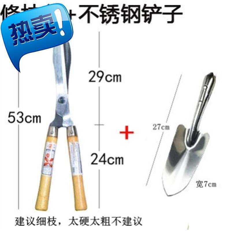 定制家用树枝修枝花剪果枝园艺园u林工具省力绿化果树修剪刀果园