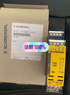 Schmersal 101170056 FWS1205 施迈