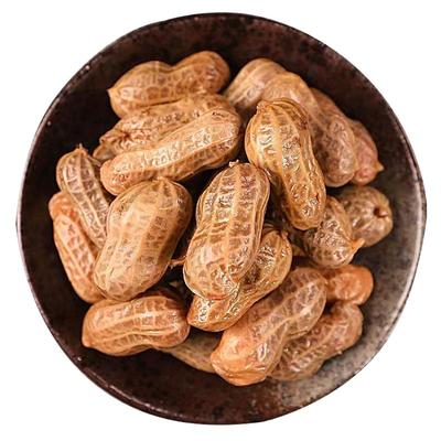 五香水煮花生带壳盐水卤花生啤酒伴侣下酒菜夜市淄博烧烤卤汁花生