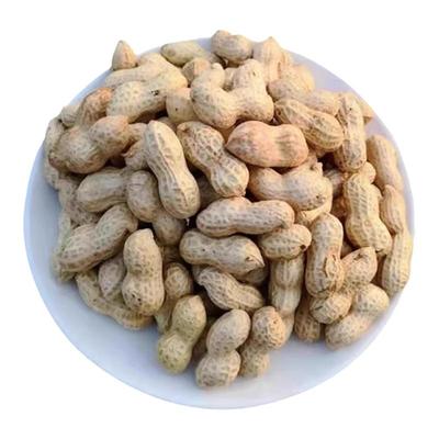 开封新鲜带壳生花生可榨油种子