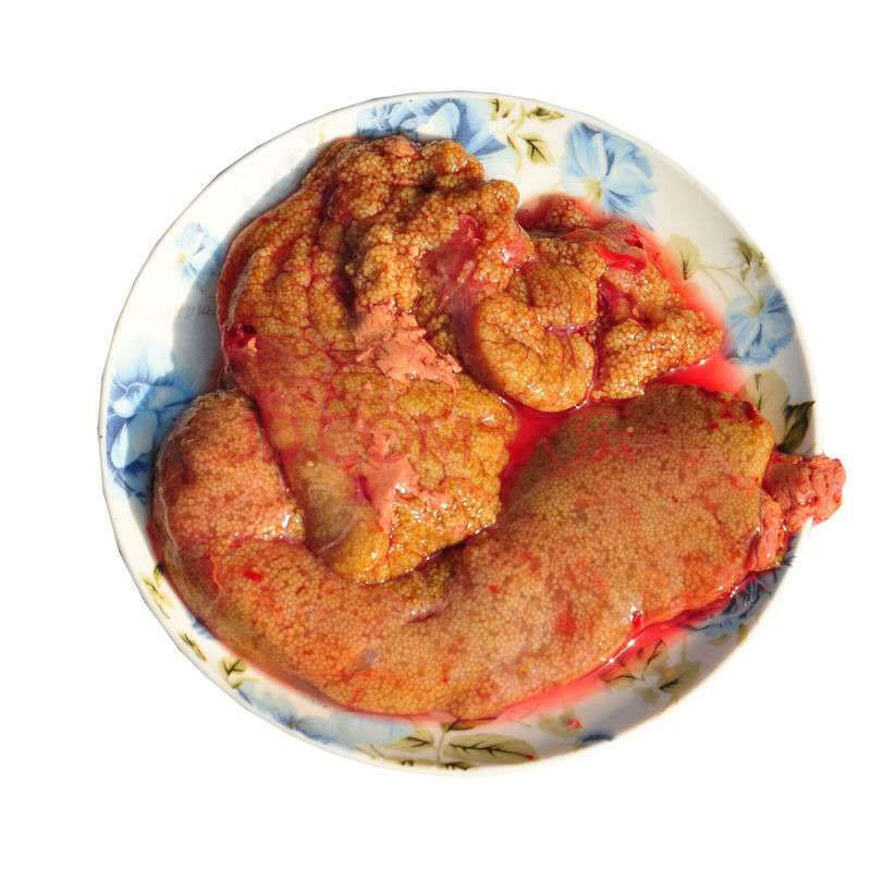 鲤鱼籽鱼籽酱鱼白鱼泡鱼杂速冻淡水现取鱼卵鱼蛋新鲜到家包邮