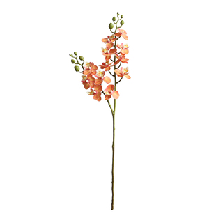高品质蝴蝶兰仿真花胶片假花客厅餐桌花摆件玄关电视柜装饰摆设