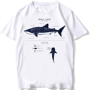 Minimalist printed short sleeves男士纯色简约印花圆领短袖T恤