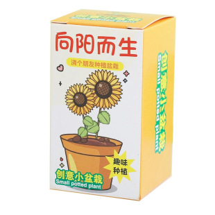 创意网红盆栽盲盒幼儿园儿童植物迷你桌面绿植学生小礼品种植毕业