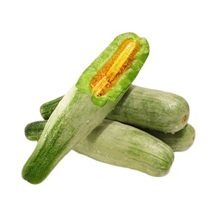 笙之耕羊角蜜甜瓜秧苗盆栽绿宝石甜瓜种苗羊角蜜羊角酥超甜带土球