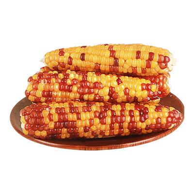 抢!【6根送6根】仓鼠磨牙小玉米