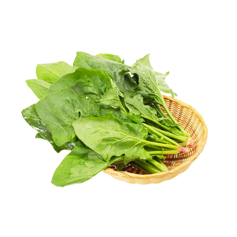 大叶菠菜种子四季高产可越冬圆大叶菠菜籽易种盆栽耐高温蔬菜种子