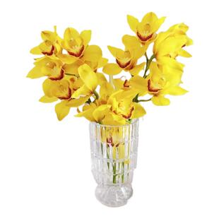 大花蕙兰鲜花年宵花鲜切花鲜花速递同城兰花室内花卉婚庆家庭插花