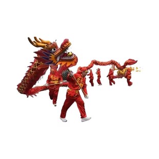 舞龙道具国标烫金灯光龙舞龙灯成人儿童舞龙舞狮春节龙狮舞龙龙头