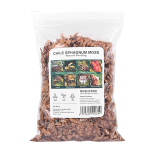 乌龟冬眠用品智利水苔黄缘龟保暖垫材爬宠饲养箱专用苔藓过冬材料