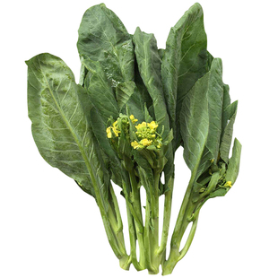 桃山芥蓝菜籽广东芥兰菜种籽黄花介兰菜种农家秋冬季蔬菜种孑种子