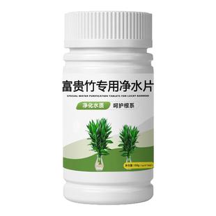 绿植水培植物净水片除臭杀菌剂富贵竹专用生根净化水质鲜花保鲜片