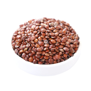 酸枣仁500g/100g/50克国产酸枣仁河北新货可磨酸枣仁粉新货正品