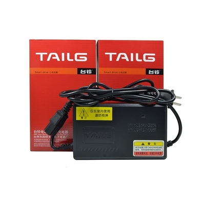 台铃电车原装正品充电器