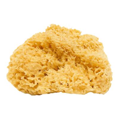 Bellini原装进口大宝洗澡S级品质