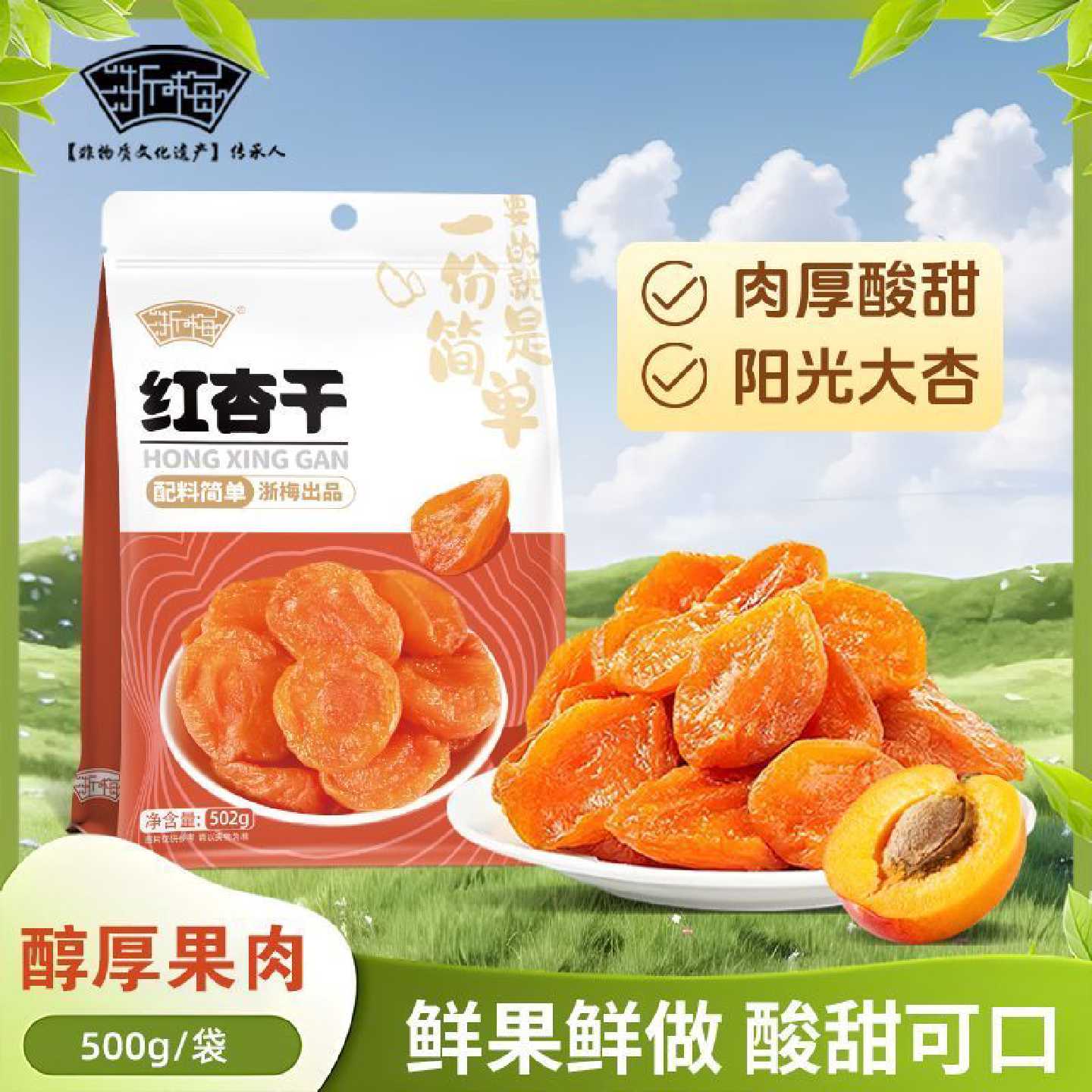 浙梅红杏干502g果脯蜜饯果干休闲零食正品正宗即食杏肉水果干量贩