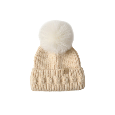 女狐狸毛球冰岛花儿与少年冬季