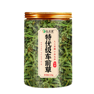 特级车前草野生中药材正品官方旗舰店新鲜干货泡茶泡水喝车前草茶