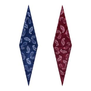 【郭俊辰同款】xinuosichou惜诺 素韵佩斯利 真丝丝巾经典菱形巾