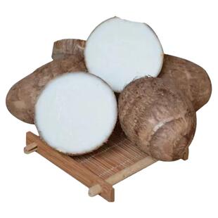 山东芋头奶油小毛芋头现挖新鲜芋艿香芋粉糯沙地大中小果产地优选