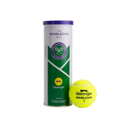 史莱辛格温网耐打铁罐豹子网球