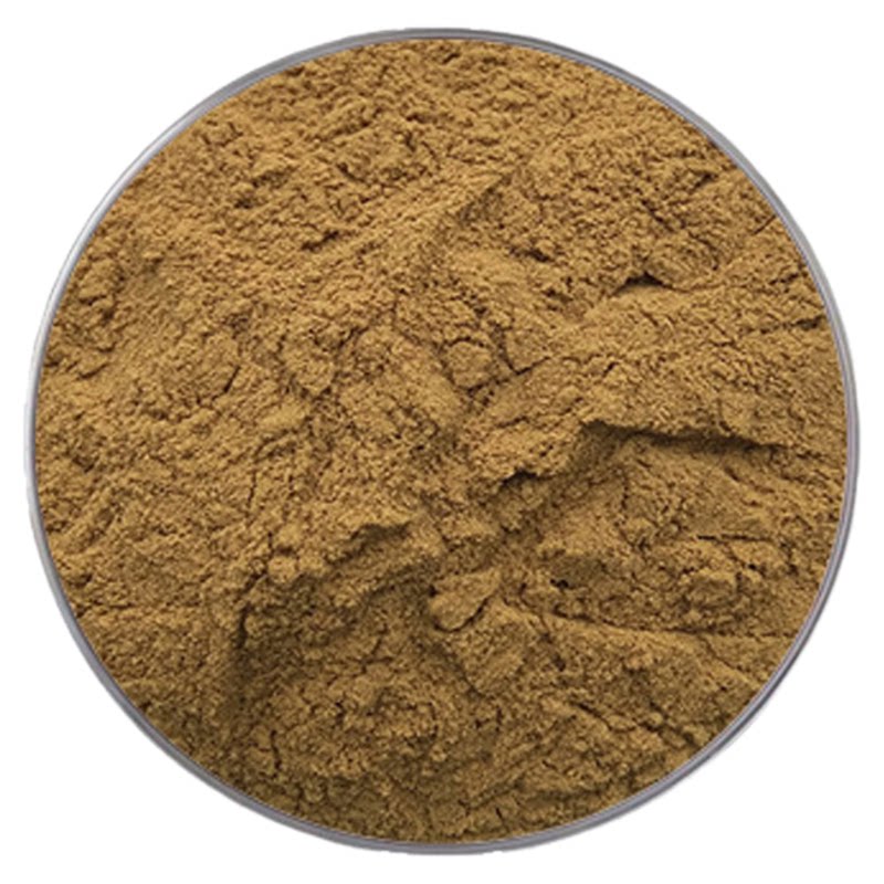 马齿苋提取物30:1马齿菜马齿苋原料 天然植物萃取浓缩精华粉末