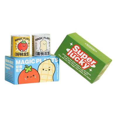 创意罐头植物懒人植物