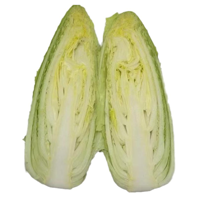 龙牙菜龙牙白菜宁夏供港龙芽菜日本绍菜长白菜 清甜多汁