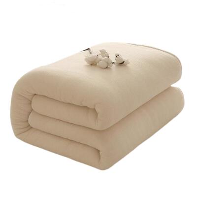 俞兆林学生可折叠千层棉褥子