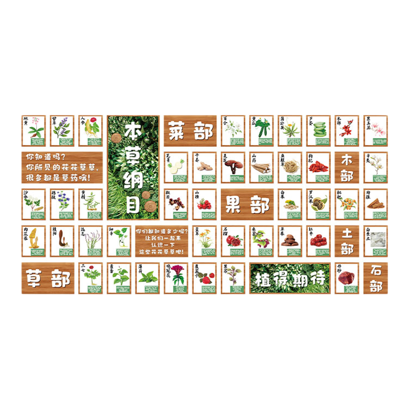 中草药医馆标本展示氛围布置幼儿园本纲目墙面装饰文化素材环创贴