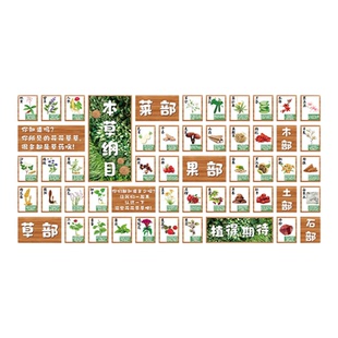 中草药医馆标本展示氛围布置幼儿园本纲目墙面装饰文化环创贴纸画