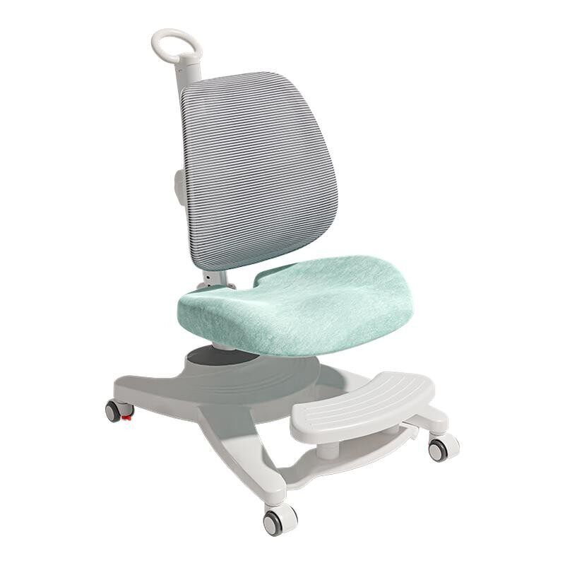 ��ڶ�ͯѧϰ����Сѧ������д��ר����������д��ҵ׷���������� 549.82Ԫ(������)