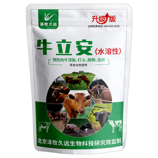 泽牧久远牛立牛羊爬跨顶架追跑用牛立安用上牛老实安静长肉不顶人