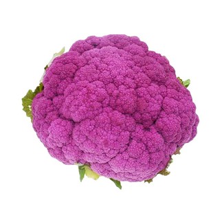 花椰菜苗种子宝塔菜秋后紫色花菜菜花西兰花种子种籽西蓝花孑籽种