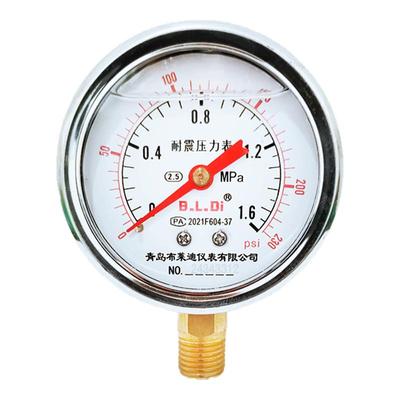 青岛布莱迪仪表水压抗震耐高温