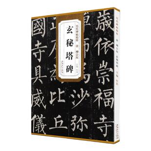 历代碑帖精粹 唐 柳公权玄秘塔碑 简体旁注 第一辑杜浩楷书碑帖毛笔字帖 玄秘塔 柳公权玄秘塔 安徽美术