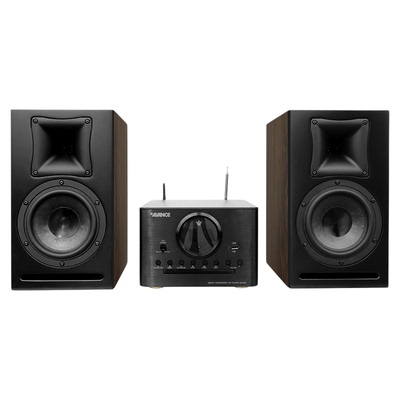 皇冠组合音箱AVANCEhifi