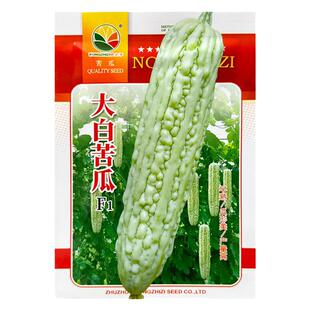 农之子大白苦瓜种子早熟高产长白苦瓜种籽凉瓜种春夏农家蔬菜种孑