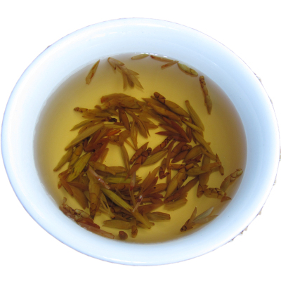 老鹰茶芽苞嫩芽高山茶