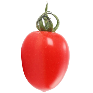 小番茄种子生吃超甜釜山88小柿子高产玲珑蜜春秋四季盆栽圣女果籽