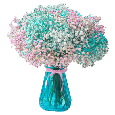 多色满天星干花星星花束